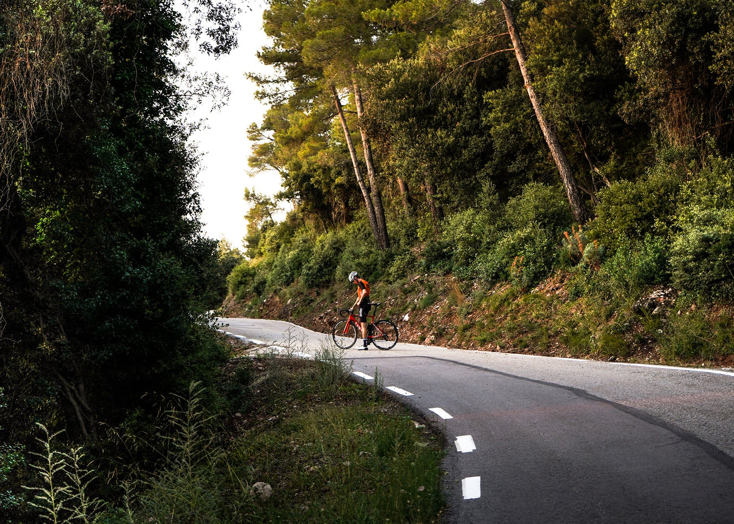 Ciclismo sostenible: cómo impactamos el medio ambiente