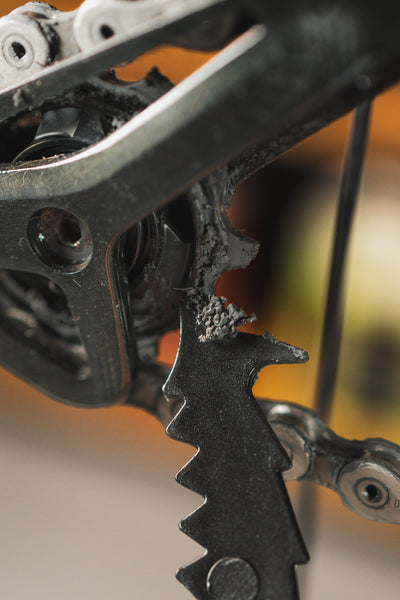 Cepillo para transmisión